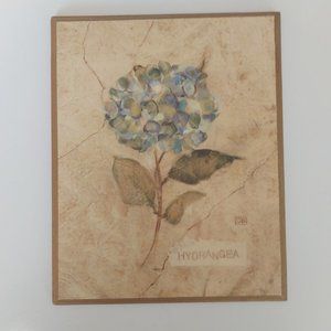 8" x 10" Wall Art - Hydrangea Picture